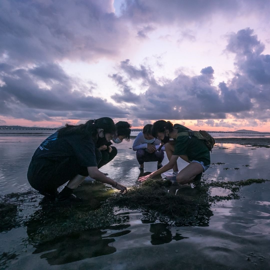 Intertidal Exploration for Two (Private Tour)