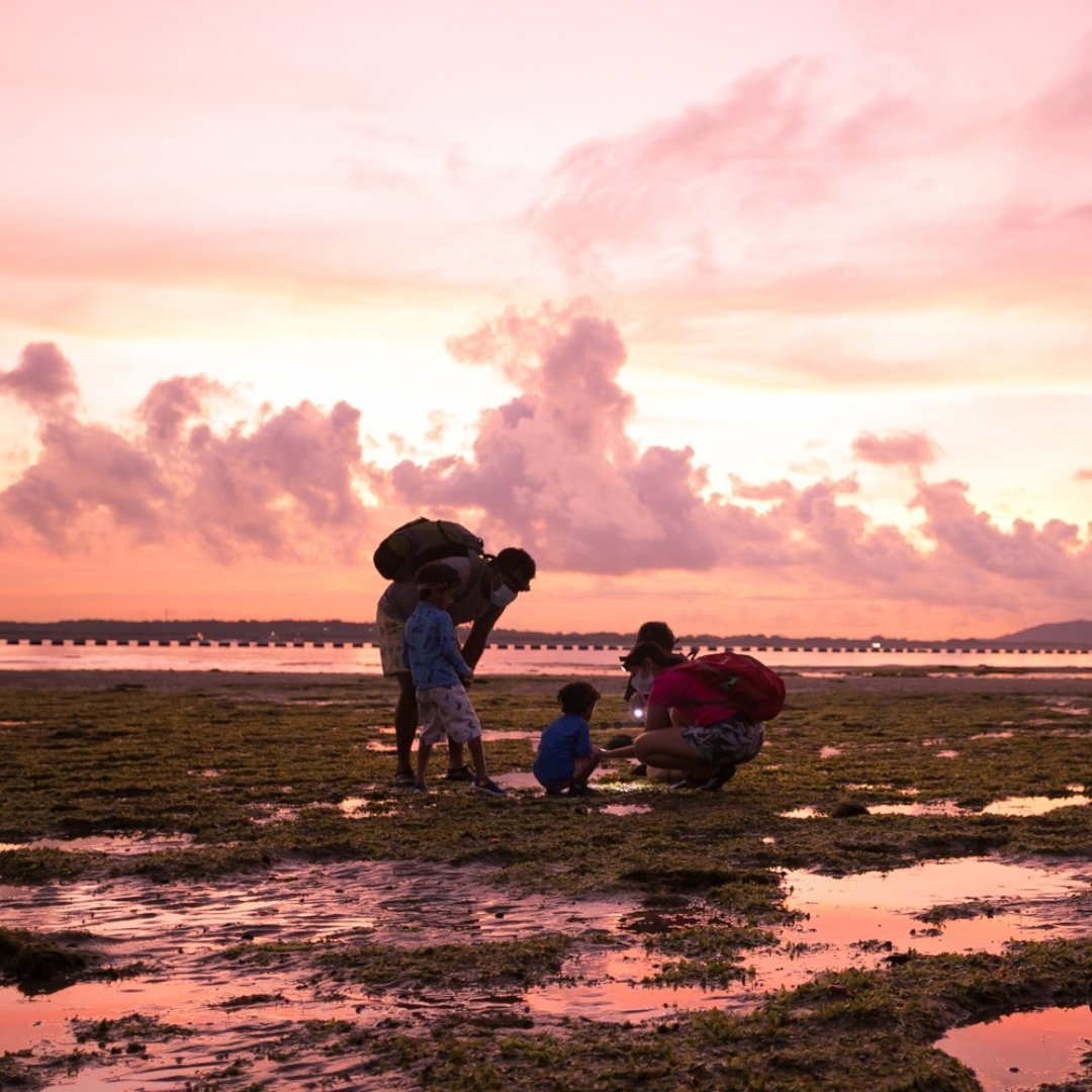 Intertidal Exploration for Two (Private Tour)