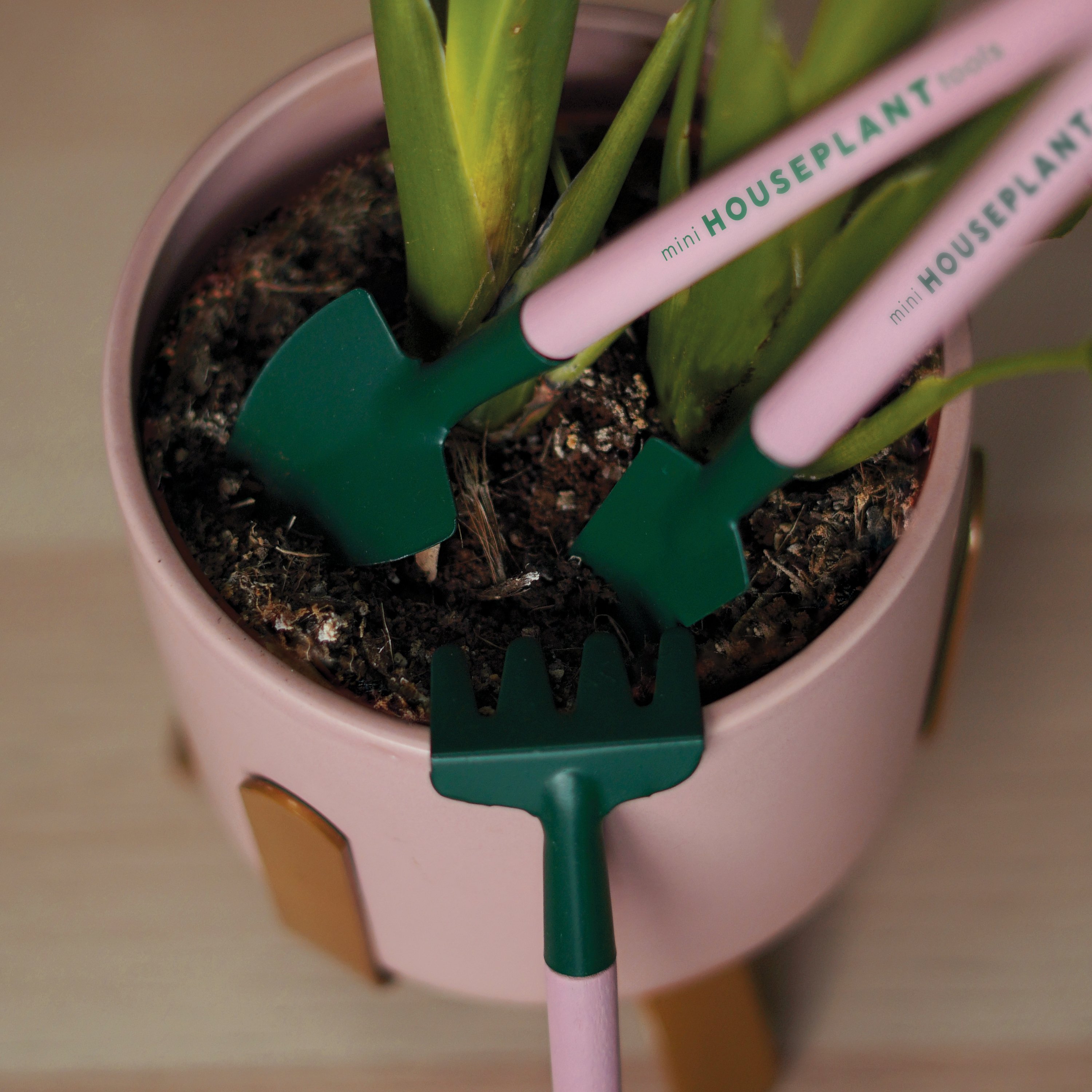Mini Houseplant Tools