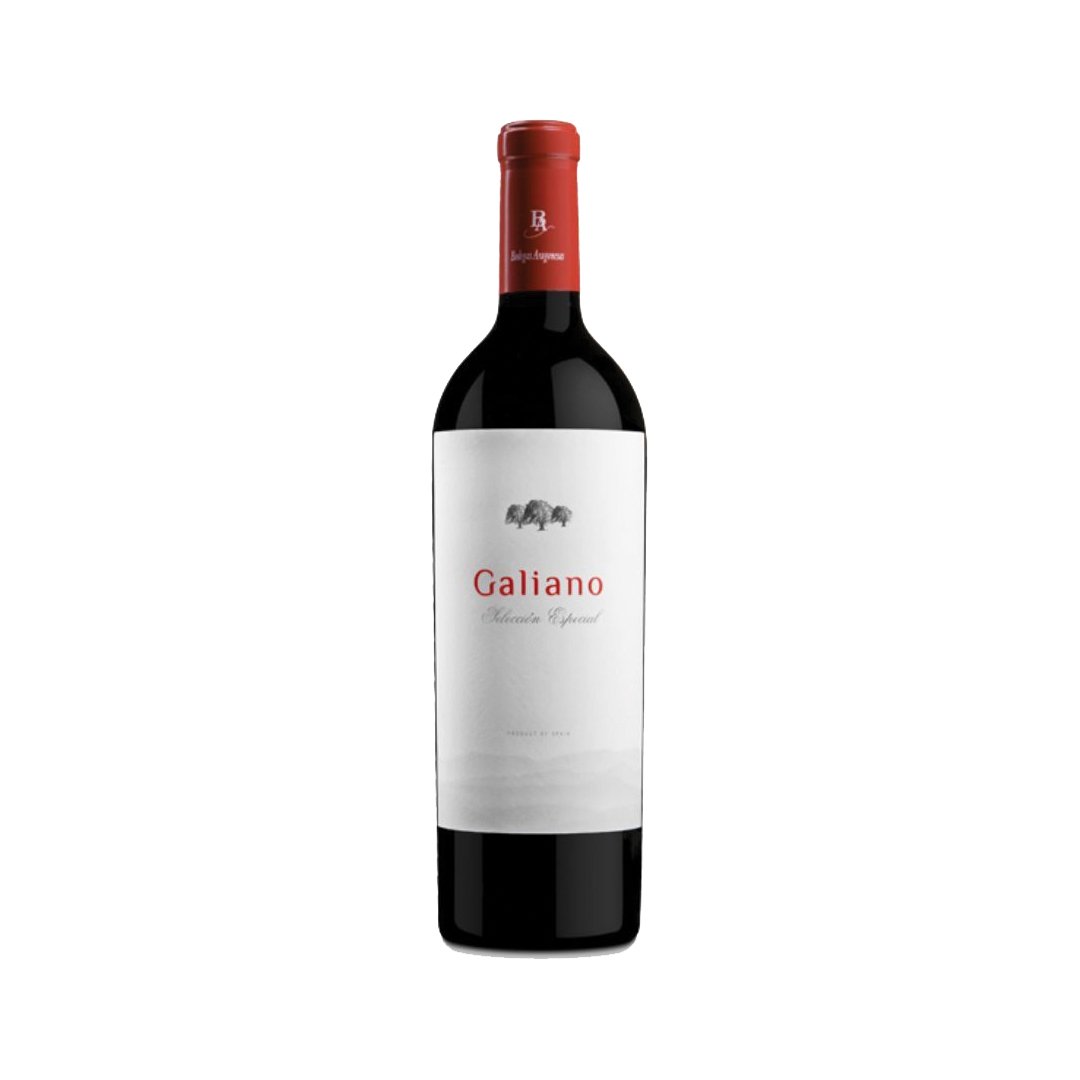 Bodegas Aragonesas Coto De Hayas Galiano Seleccion Especial 2013