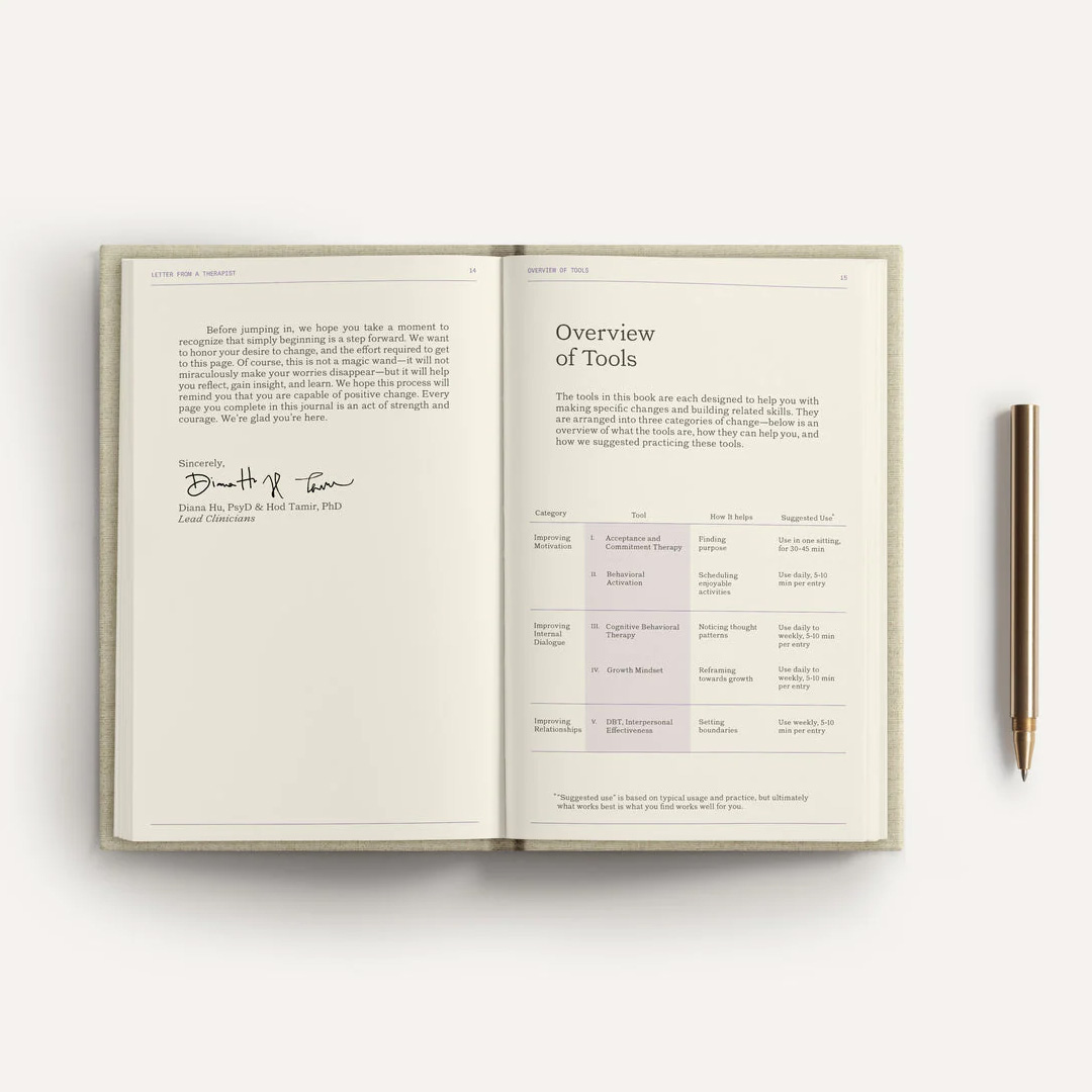 The Depression Guidebook