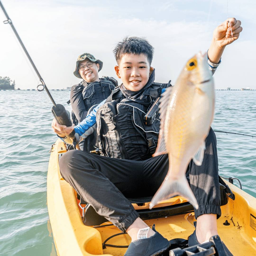 The Playground for 2