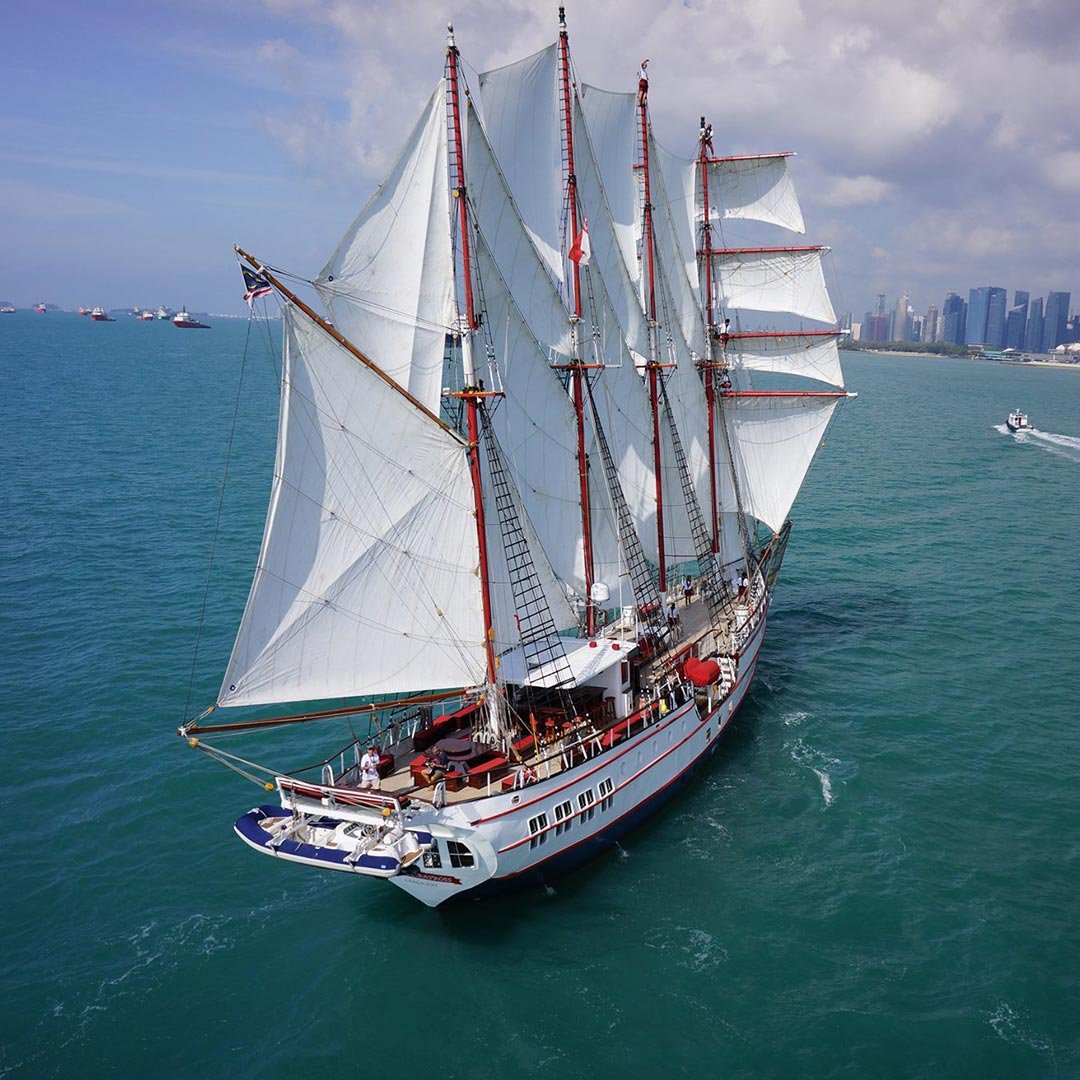 Royal Albatross Gift Card