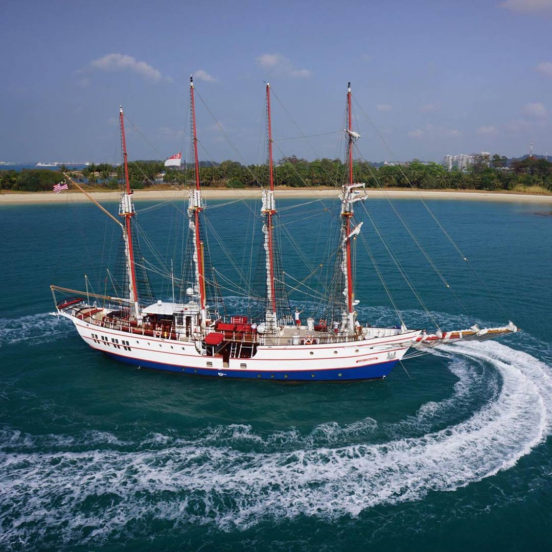 Royal Albatross Gift Card