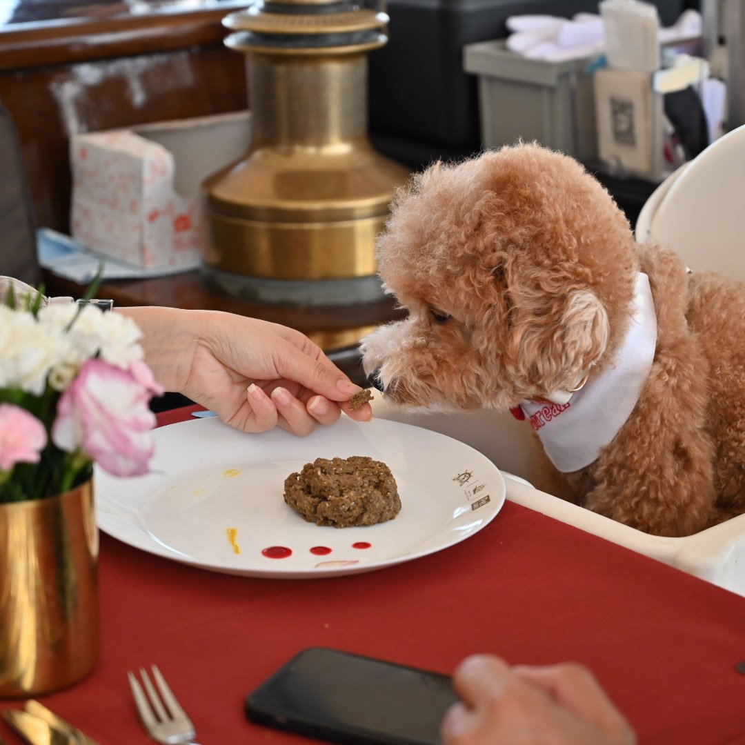 Happy Barkday Package