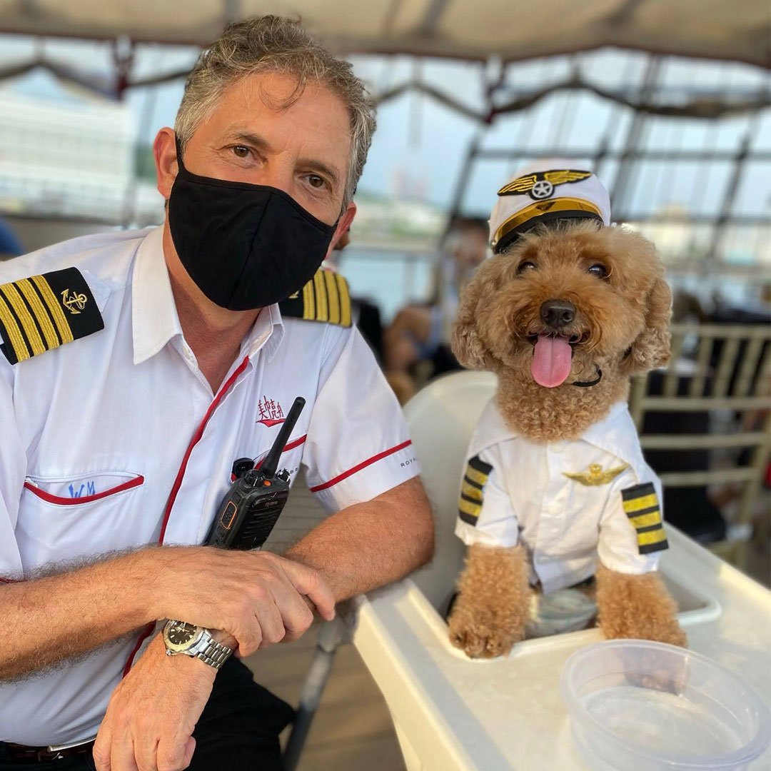 Happy Barkday Package