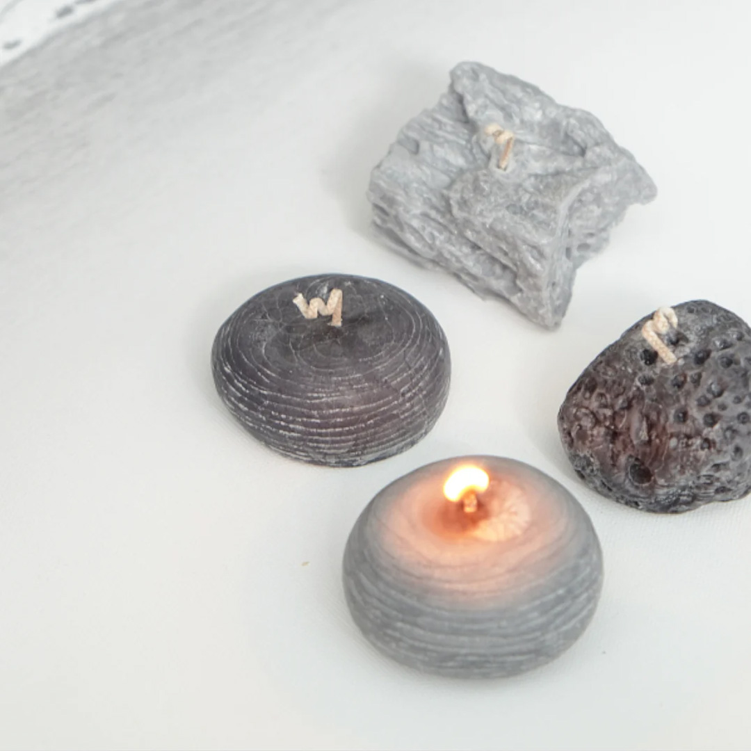 Beginner Palm Wax Candle-Making Class