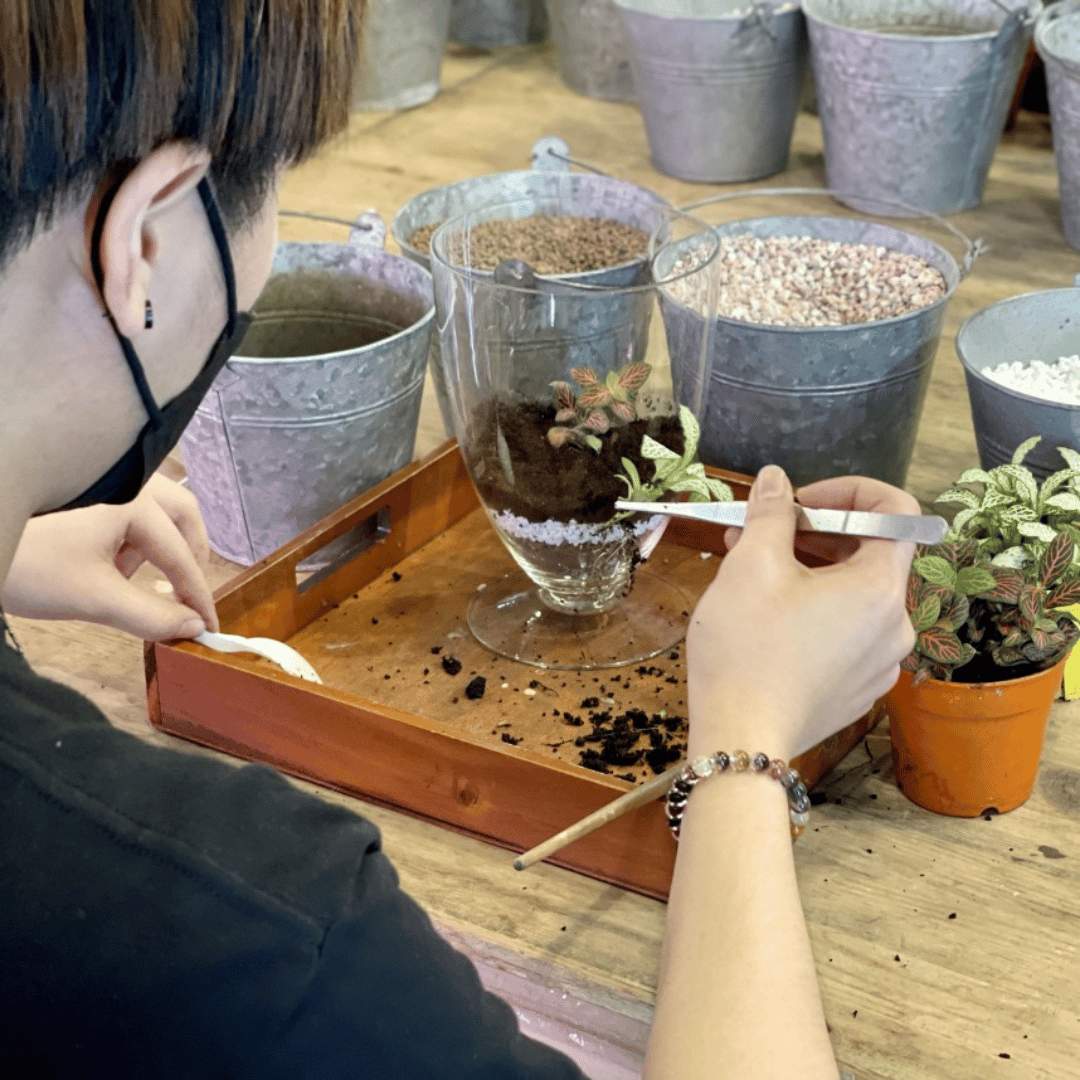 Close Terrarium Workshop