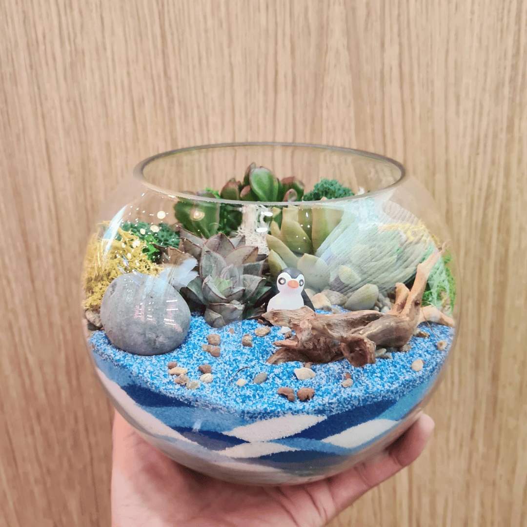 Open Foliage Terrarium Workshop