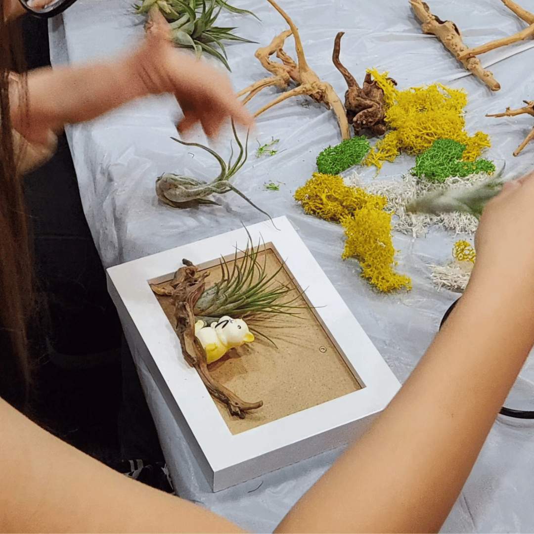 Air Plant Green Wall Workshop