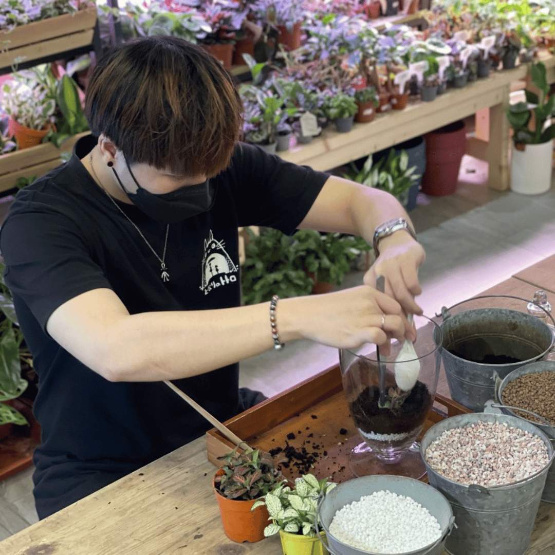 Close Terrarium Workshop 