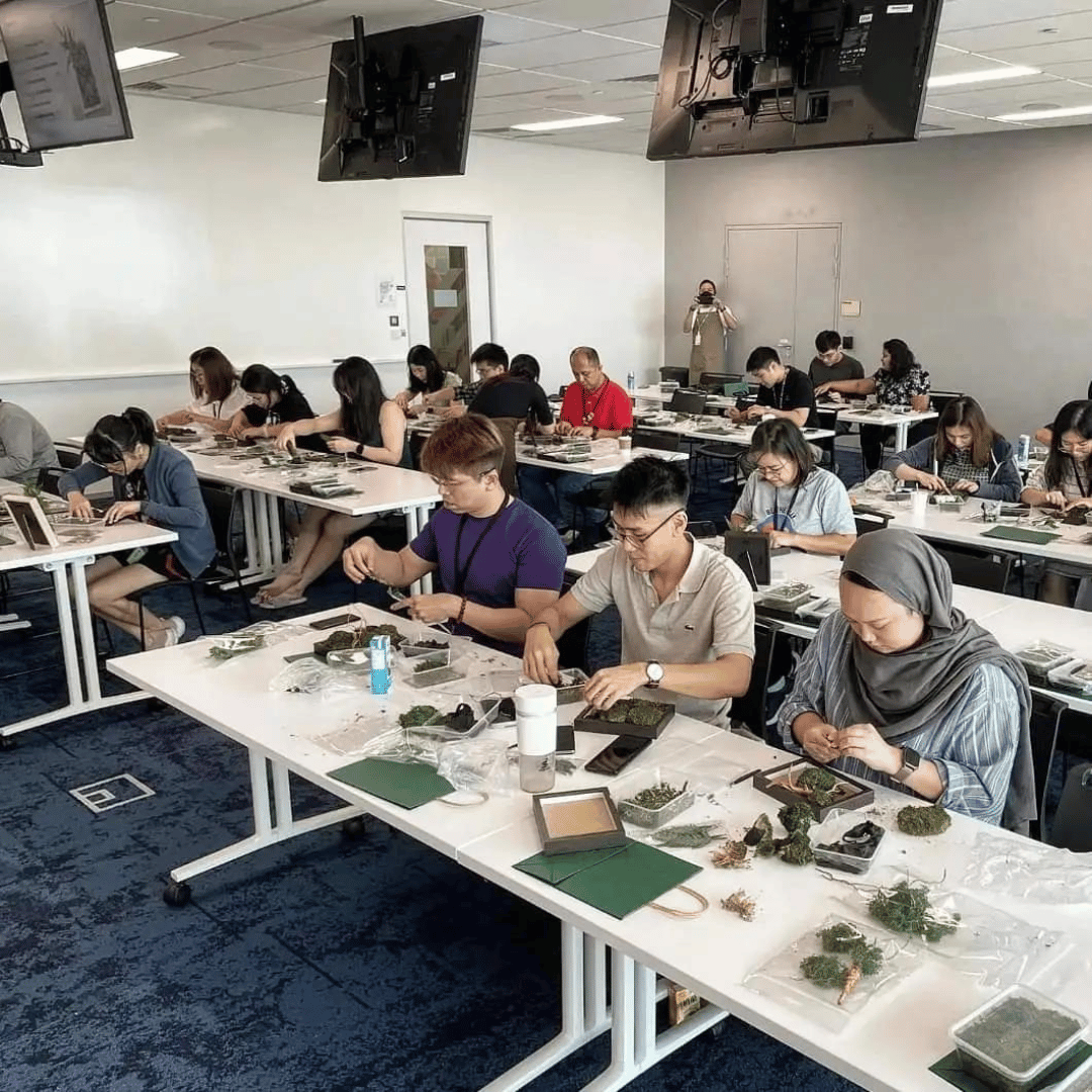 Preserved Nature Workshop (Big Frame)