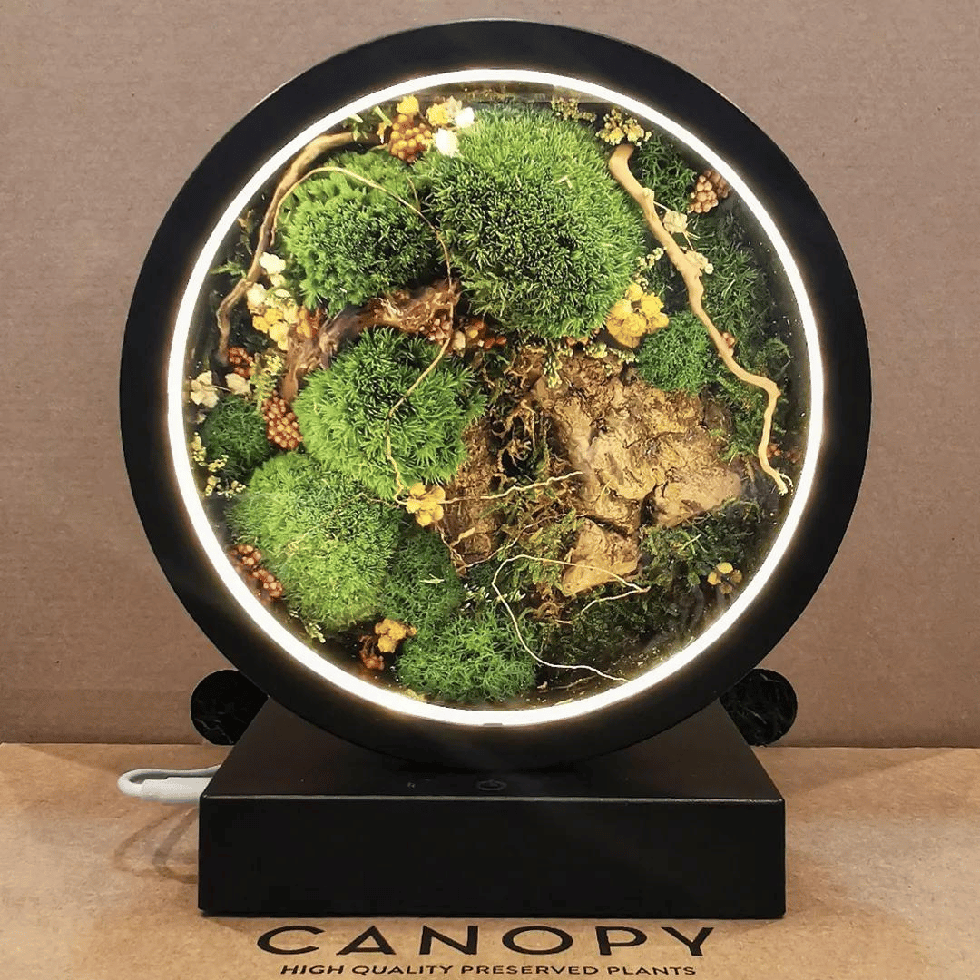 Preserved Moss Mood Lamp Workshop