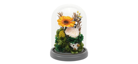 Preserved Gerbera & Daisies Dome - Ana Hana Flower - Gifting Made Easy ...