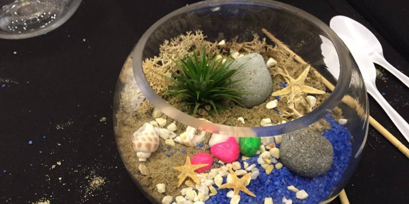 Epic Workshops terrarium workshops