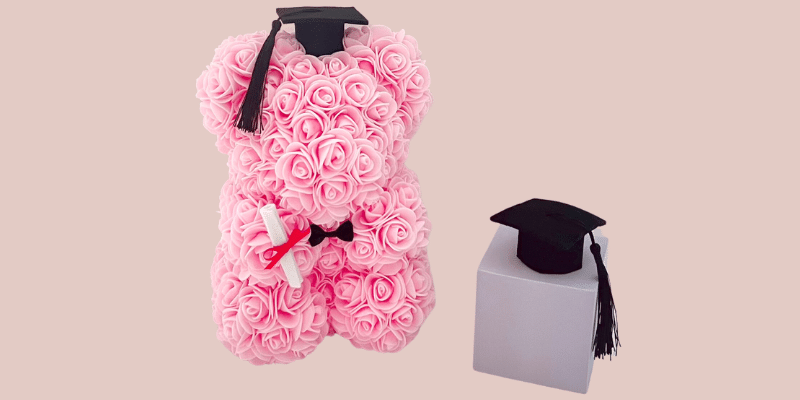 The Rose Ark Graduation Rose Bear